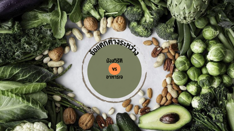 ./images/blog/vegetarian_jay